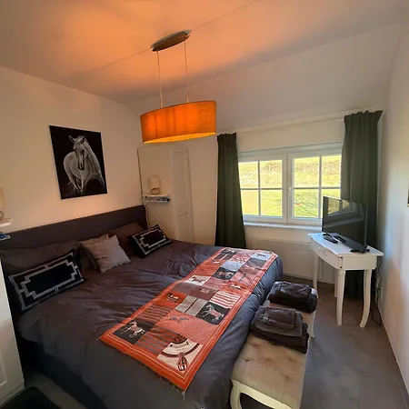 Horse De Belian Tatil Evi Hannut